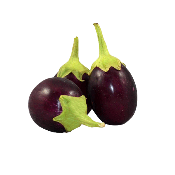 Brinjal Deshi