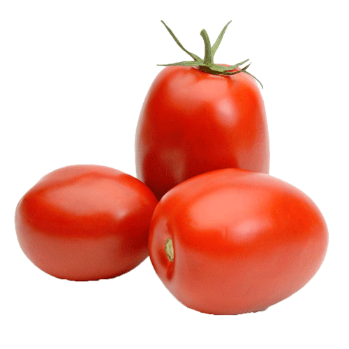 Tomato