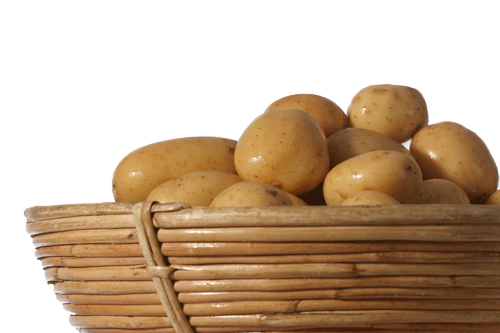 Potato(Bataka)